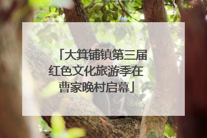 大箕铺镇第三届红色文化旅游季在曹家晚村启幕