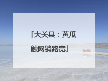 大关县：黄瓜触网销路宽