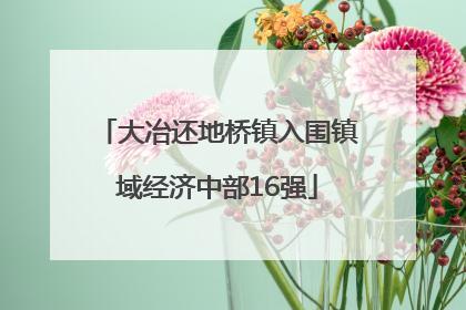 大冶还地桥镇入围镇域经济中部16强
