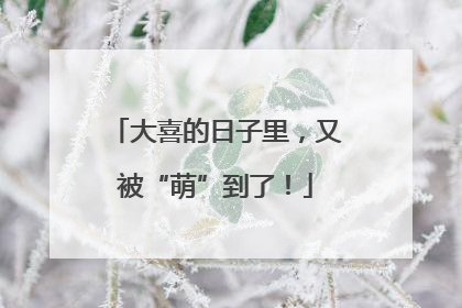 大喜的日子里，又被“萌”到了！