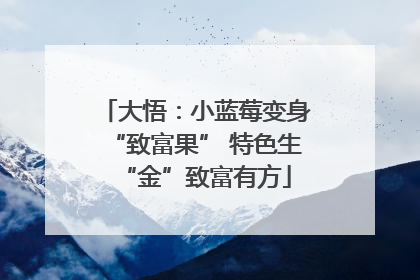 大悟：小蓝莓变身“致富果” 特色生“金”致富有方