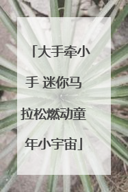 大手牵小手 迷你马拉松燃动童年小宇宙