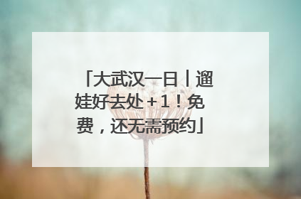 大武汉一日︱遛娃好去处＋1！免费，还无需预约