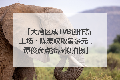 大湾区成TVB创作新主场：陈豪叹取景多元，谭俊彦点赞虚拟拍摄