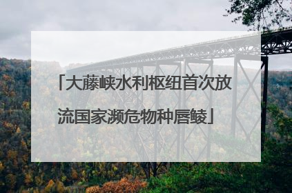 大藤峡水利枢纽首次放流国家濒危物种唇鲮