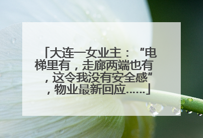 大连一女业主：“电梯里有，走廊两端也有，这令我没有安全感”，物业最新回应……