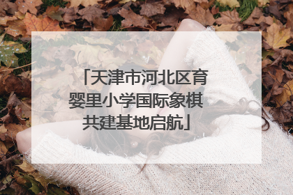 天津市河北区育婴里小学国际象棋共建基地启航