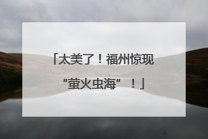 太美了！福州惊现“萤火虫海”！