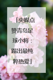 央媒点赞青岛足球小将：踢出最纯粹热爱