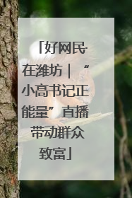 好网民·在潍坊｜“小高书记正能量”直播 带动群众致富