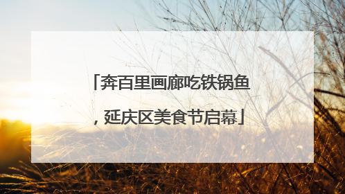 奔百里画廊吃铁锅鱼，延庆区美食节启幕