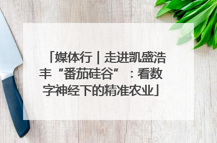 媒体行｜走进凯盛浩丰“番茄硅谷”：看数字神经下的精准农业