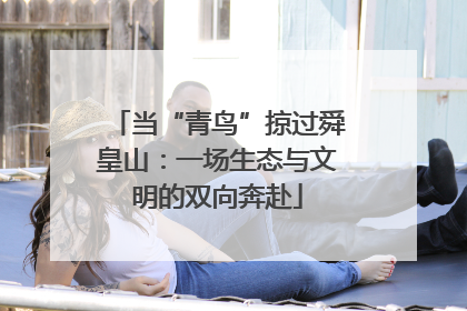当“青鸟”掠过舜皇山：一场生态与文明的双向奔赴