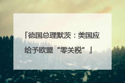 德国总理默茨：美国应给予欧盟“零关税”