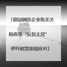 德国钢铁企业批美关税政策“反复无常” 呼吁欧盟加强应对