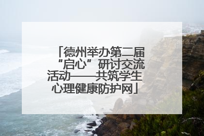 德州举办第二届“启心”研讨交流活动——共筑学生心理健康防护网