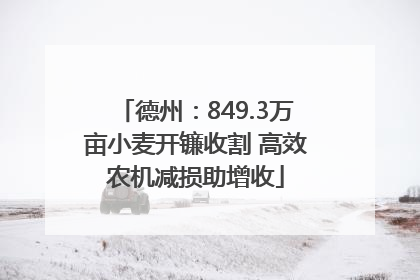 德州：849.3万亩小麦开镰收割 高效农机减损助增收