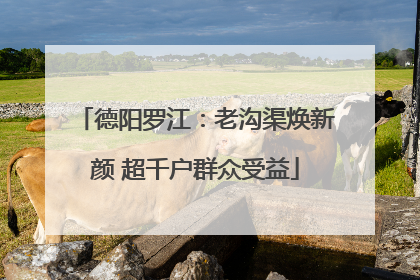 德阳罗江：老沟渠焕新颜 超千户群众受益