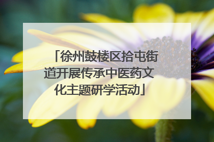 徐州鼓楼区拾屯街道开展传承中医药文化主题研学活动