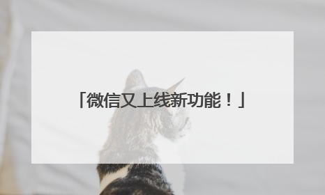 微信又上线新功能！