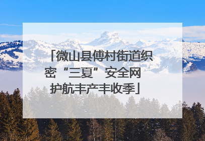 微山县傅村街道织密“三夏”安全网 护航丰产丰收季