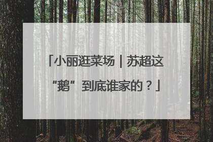 小丽逛菜场｜苏超这“鹅”到底谁家的？