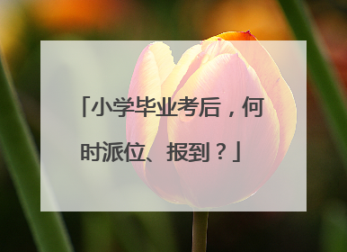 小学毕业考后，何时派位、报到？
