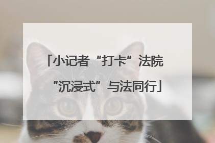 小记者“打卡”法院 “沉浸式”与法同行