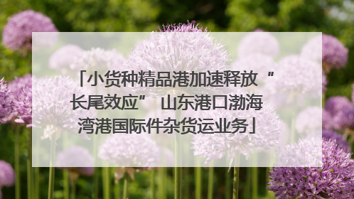 小货种精品港加速释放“长尾效应” 山东港口渤海湾港国际件杂货运业务