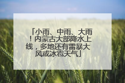 小雨、中雨、大雨！内蒙古大部降水上线，多地还有雷暴大风或冰雹天气