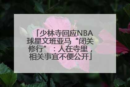 少林寺回应NBA球星文班亚马“闭关修行”：人在寺里，相关事宜不便公开