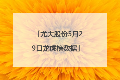 尤夫股份5月29日龙虎榜数据