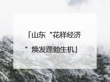 山东“花样经济”焕发蓬勃生机