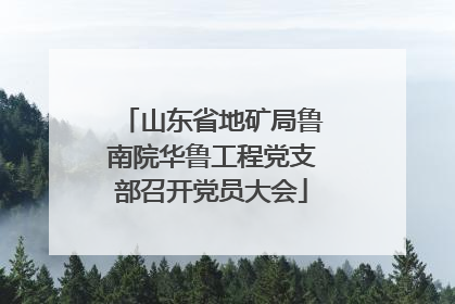 山东省地矿局鲁南院华鲁工程党支部召开党员大会