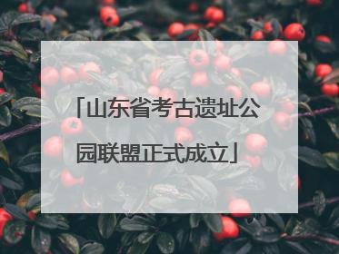 山东省考古遗址公园联盟正式成立