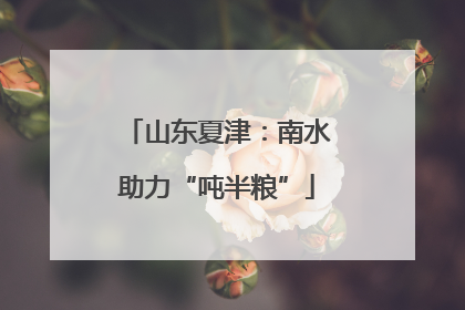 山东夏津：南水助力“吨半粮”