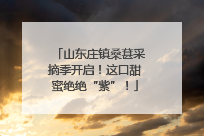 山东庄镇桑葚采摘季开启！这口甜蜜绝绝“紫”！