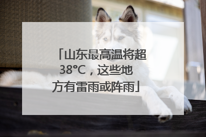 山东最高温将超38°C，这些地方有雷雨或阵雨