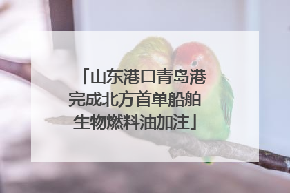 山东港口青岛港完成北方首单船舶生物燃料油加注