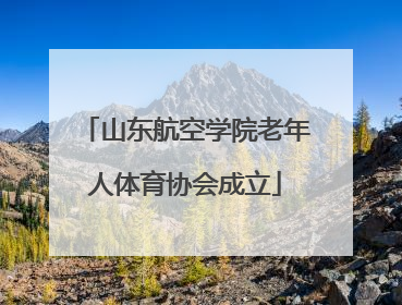 山东航空学院老年人体育协会成立