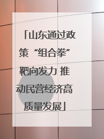 山东通过政策“组合拳”靶向发力 推动民营经济高质量发展