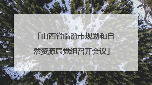 山西省临汾市规划和自然资源局党组召开会议