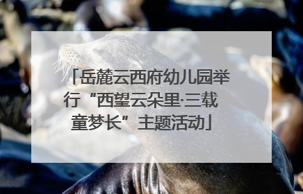 岳麓云西府幼儿园举行“西望云朵里·三载童梦长”主题活动