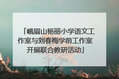 峨眉山杨丽小学语文工作室与刘春梅学前工作室开展联合教研活动