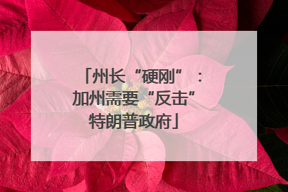 州长“硬刚”：加州需要“反击”特朗普政府