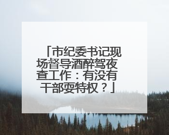 市纪委书记现场督导酒醉驾夜查工作：有没有干部耍特权？