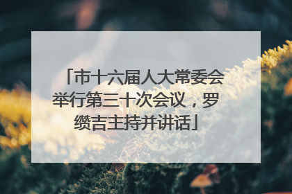 市十六届人大常委会举行第三十次会议，罗缵吉主持并讲话