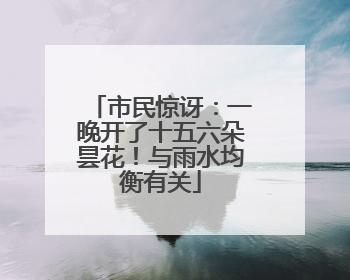 市民惊讶：一晚开了十五六朵昙花！与雨水均衡有关