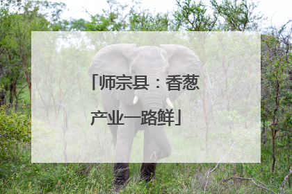 师宗县：香葱产业一路鲜