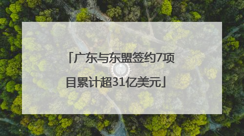 广东与东盟签约7项目累计超31亿美元